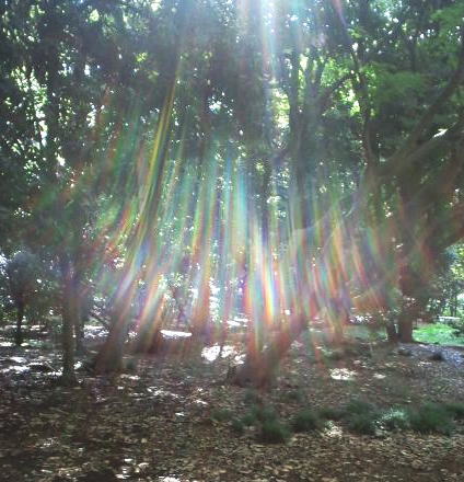 light